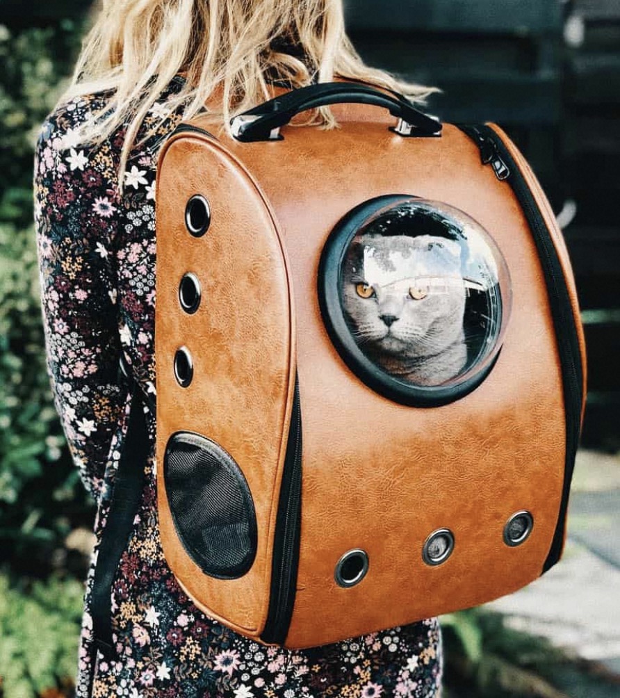 cat backpacks