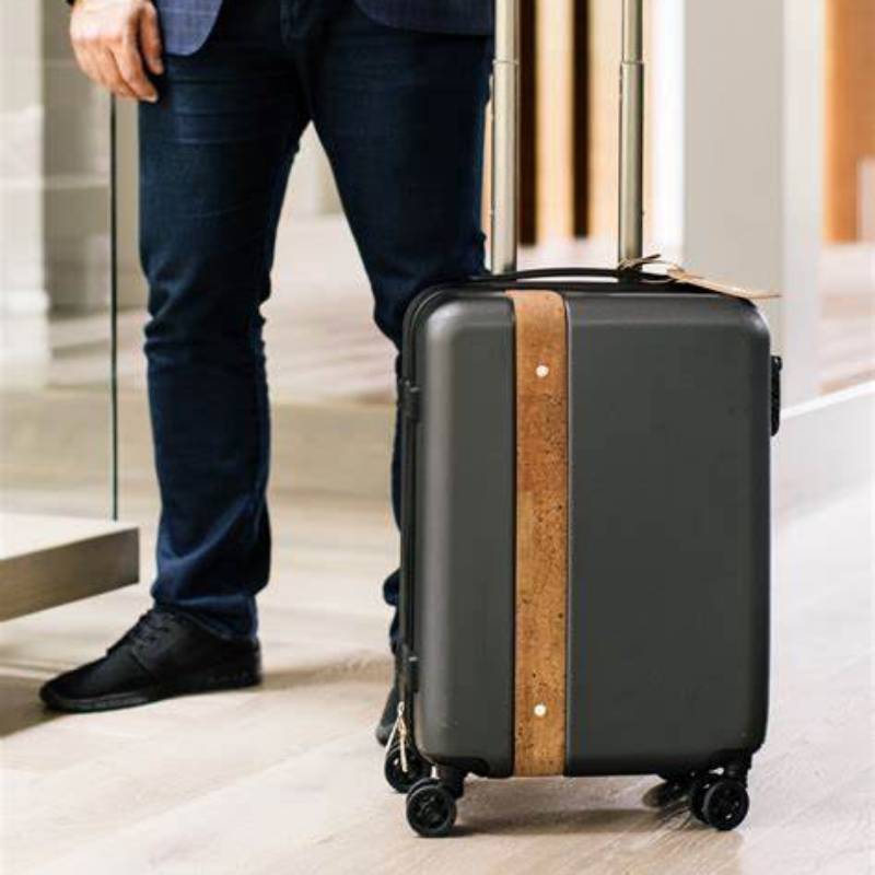 mens luggage