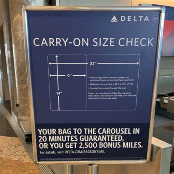 carry on luggage international size