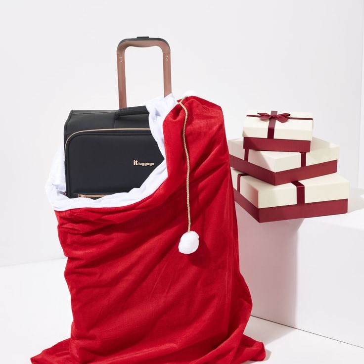 Christmas travel luggage